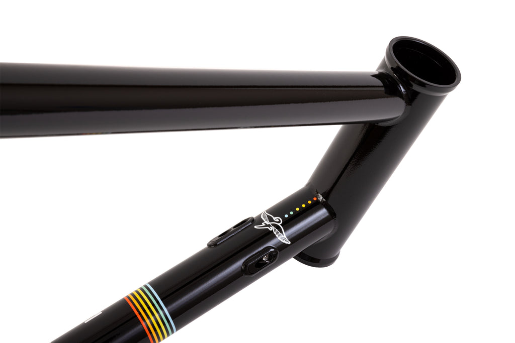 Fairdale Goodship Frame (Gloss Black)