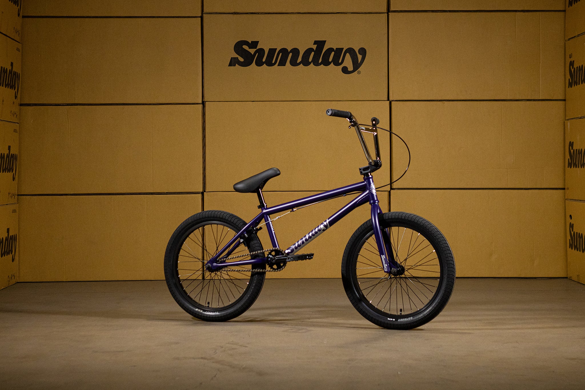 Sunday Scout (Matte Midnight Purple with 20.75