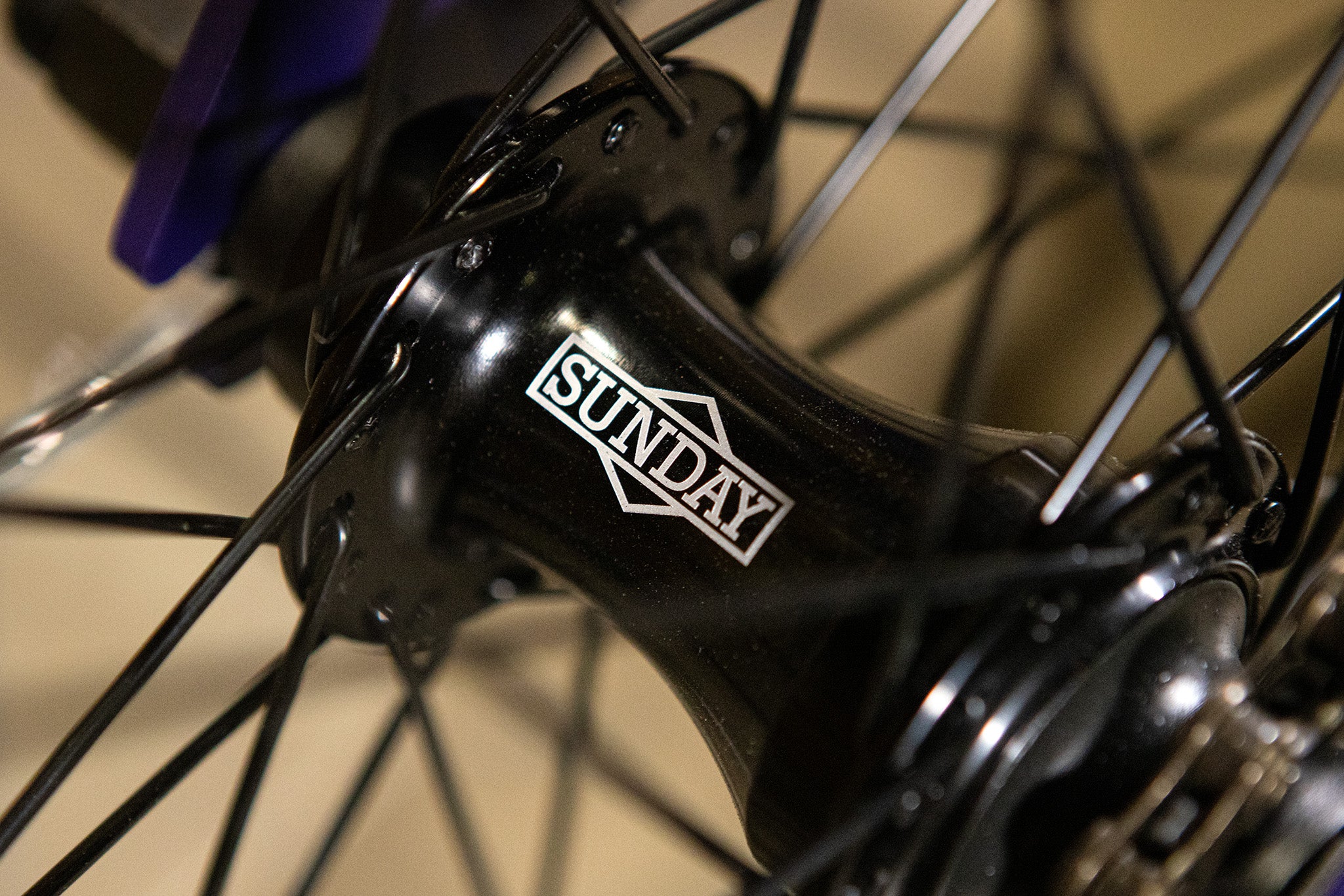 Sunday Scout (Matte Midnight Purple with 20.75